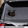 Tell Your Dogs I Said Hi - Black Labrado Vinyls Car Decals Window Sticker Car Gift For Labrado Decals Lover