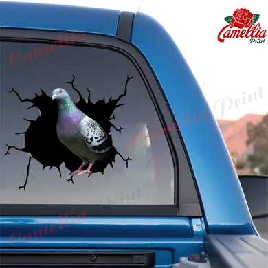 Pigeon Crack Decal Ideas Your Cute Jeans Custom Vinyl Decals Best Father's Day Gifts