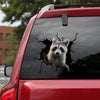 [ha0064-snf-tpa]-raccoon-crack-car-sticker-raccoon-lover