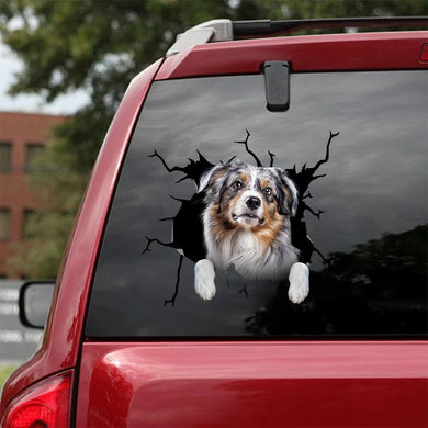 [ha0082-snf-tpa]-australian-shepherd-crack-car-sticker-dogs-lover