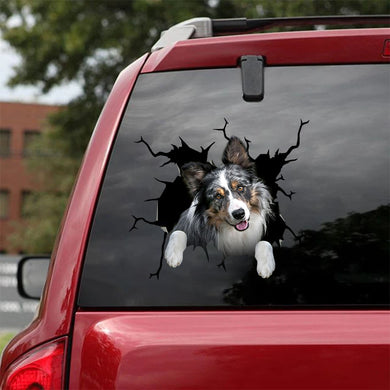 [ha0083-snf-tpa]-australian-shepherd-crack-car-sticker-dogs-lover