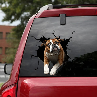 [ha0150-snf-tpa]-english-bulldog-crack-car-sticker-dogs-lover