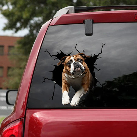 [ha0150-snf-tpa]-english-bulldog-crack-car-sticker-dogs-lover