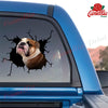 English Bulldog Crack Duck Decal Pretty Cute Vinyl Sticker Maker Birthday Gift For Wife