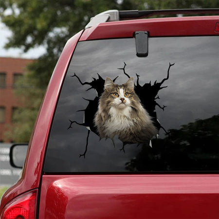 [ha0205-snf-lad]-norwegian-forest-cat-crack-car-sticker-cats-lover