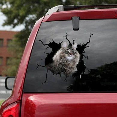 [ha0206-snf-lad]-norwegian-forest-cat-crack-car-sticker-cats-lover
