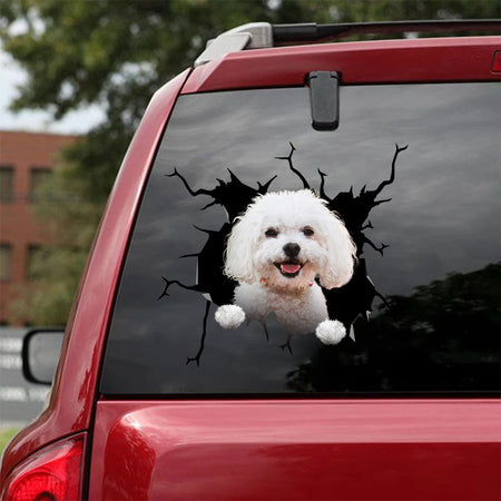 [ha0296-snf-lad]-bichon-frise-crack-car-sticker-dogs-lover