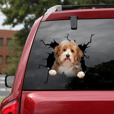 [ha0326-snf-lad]-havanese-crack-car-sticker-dogs-lover