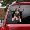 [ha0337-snf-lad]-belgian-malinois-crack-car-sticker-dogs-lover