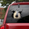 [ha0371-snf-tpa]-borzoi-crack-car-sticker-dogs-lover