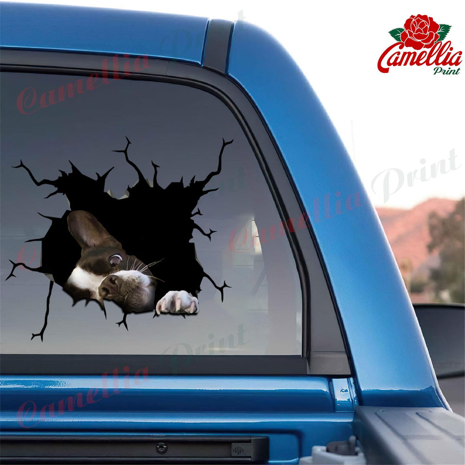 Boston Terrier Crack Sticker Album Happy Bee Stickers Anniversary Gifts By Year