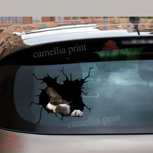 Boston Terrier Crack Sticker Album Happy Bee Stickers Anniversary Gifts By Year