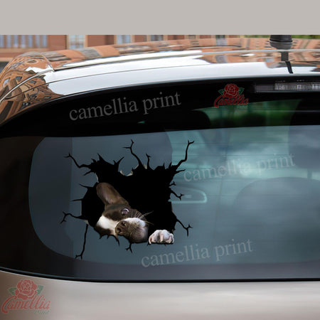 Boston Terrier Crack Sticker Album Happy Bee Stickers Anniversary Gifts By Year