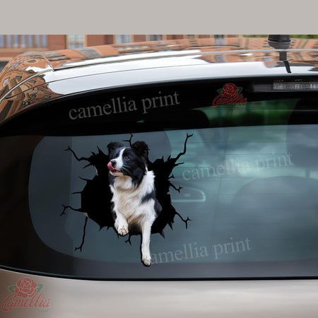 Border Collie Crack Sticker Box Your Cute Jeans Custom Decal Stickers Birthday Gift Ideas