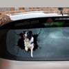 Border Collie Crack Sticker Box Your Cute Jeans Custom Decal Stickers Birthday Gift Ideas