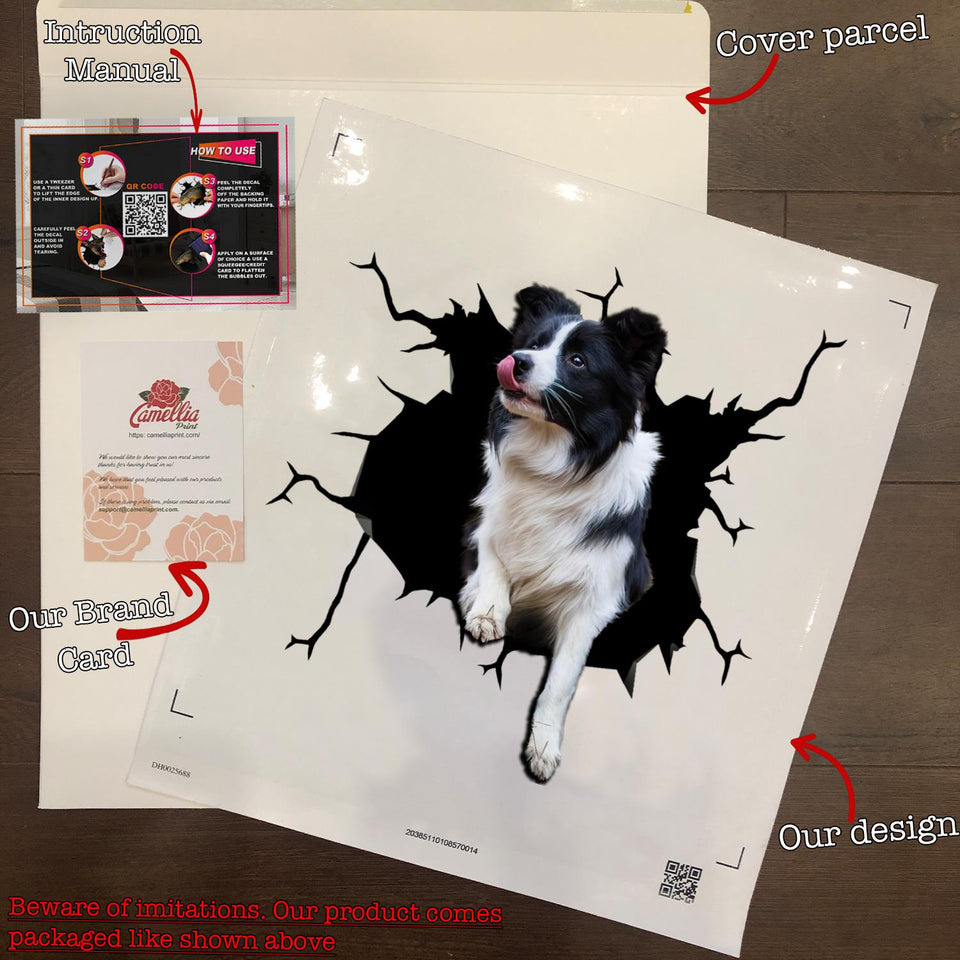 Border Collie Crack Sticker Box Your Cute Jeans Custom Decal Stickers Birthday Gift Ideas