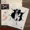 Border Collie Crack Sticker Box Your Cute Jeans Custom Decal Stickers Birthday Gift Ideas