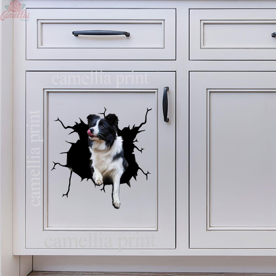 Border Collie Crack Sticker Box Your Cute Jeans Custom Decal Stickers Birthday Gift Ideas