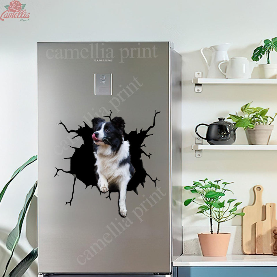 Border Collie Crack Sticker Box Your Cute Jeans Custom Decal Stickers Birthday Gift Ideas