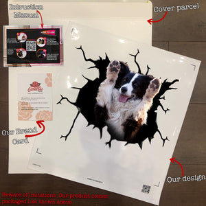 Border Collie Crack Decals For Walls Funny Friendship Stickers Father's Day Gift Ideas