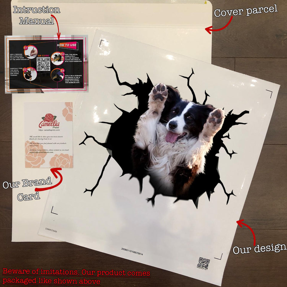 Border Collie Crack Decals For Walls Funny Friendship Stickers Father's Day Gift Ideas