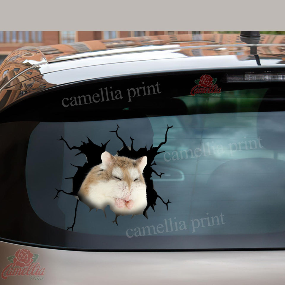 Hamster Crack Bumper Sticker Humor Window Stickers Family Gifts