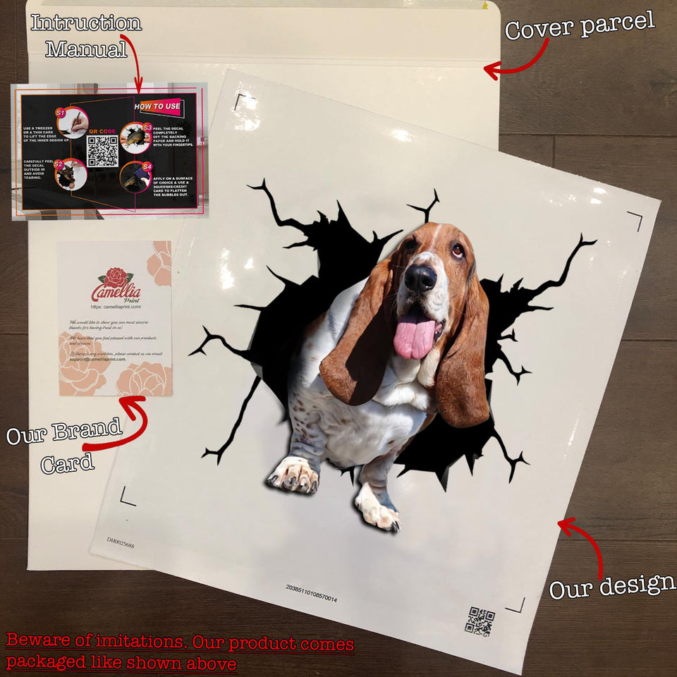 Basset Hound Crack Sticker Box Funny Wall Decor Vinyl Window Decals Birthday Gifts For Women