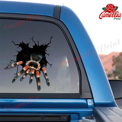 Mexican Red-knee Crack Decal Sticker Car Your Cute Jeans Custom Sticker Maker 7 Year Anniversary Gift