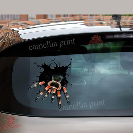 Mexican Red-knee Crack Decal Sticker Car Your Cute Jeans Custom Sticker Maker 7 Year Anniversary Gift