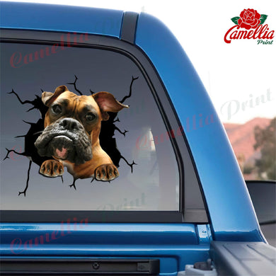 Boxer Crack Sticker Box Funny Memes Custom Car Stickers Birthday Delivery