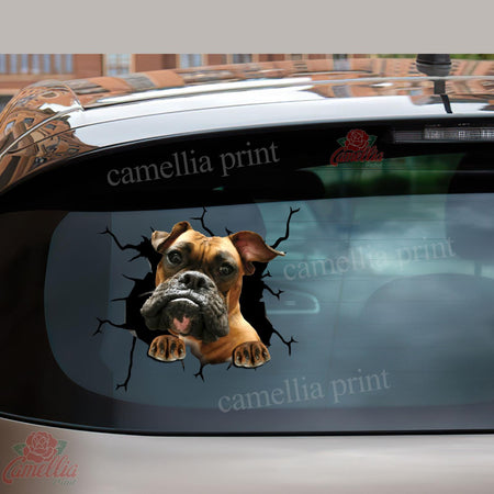 Boxer Crack Sticker Box Funny Memes Custom Car Stickers Birthday Delivery