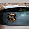 Boxer Crack Sticker Box Funny Memes Custom Car Stickers Birthday Delivery