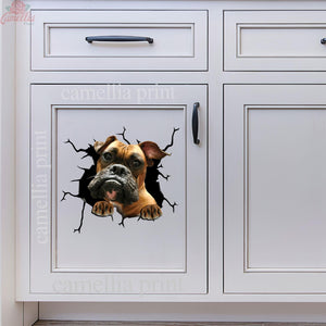 Boxer Crack Sticker Box Funny Memes Custom Car Stickers Birthday Delivery