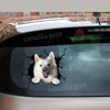American Eskimo Crack Decal For Car Window Your Cute Jeans Dot Stickers Anniversary Ideas