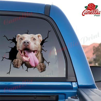 Pitbull Crack Head Decal A Cute Window Decals For Business Christmas Gifts For Men