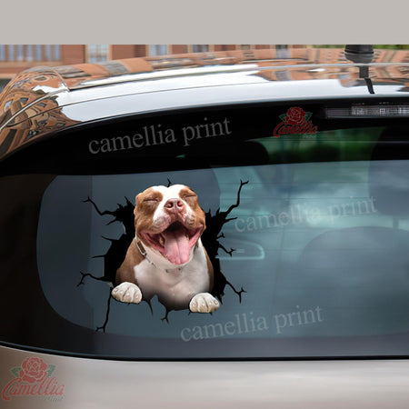 Pitbull Crack Sticker Sheets Hot Water Bottle Labels 40th Anniversary Gift