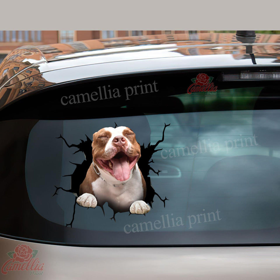 Pitbull Crack Sticker Sheets Hot Water Bottle Labels 40th Anniversary Gift