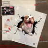Pitbull Crack Sticker Sheets Hot Water Bottle Labels 40th Anniversary Gift