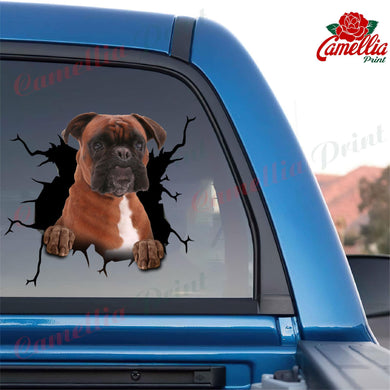 Boxer Crack Stickers For Scrapbooking You Cute Car Window Decals Memorial Wind Chimes