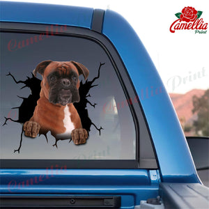 Boxer Crack Stickers For Scrapbooking You Cute Car Window Decals Memorial Wind Chimes