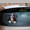 Cavalier King Charles Spaniel Crack Sticker For Car Window Hot Logo Stickers 21st Birthday Gifts