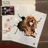 Cavalier King Charles Spaniel Crack Sticker Pack A Cute Logo Stickers Best Gift For Boyfriend