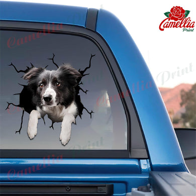 Border Collie Crack Head Decal Funny Custom Logo Stickers 10th Anniversary Gift