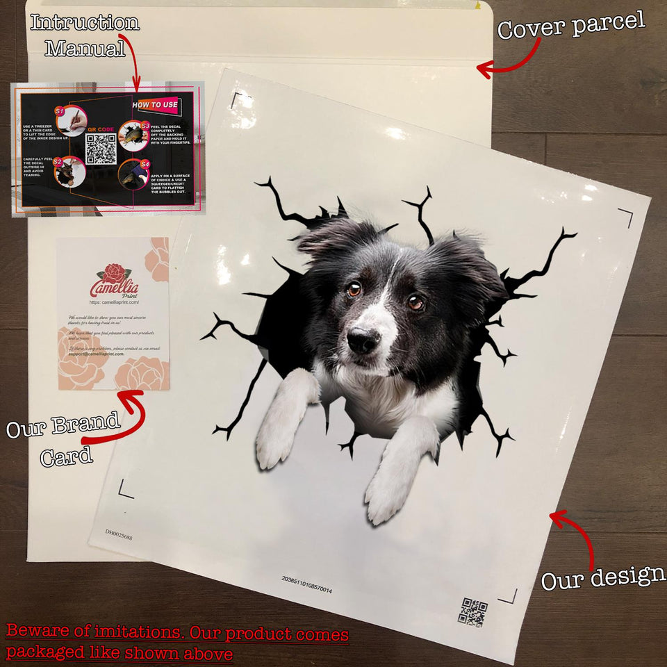 Border Collie Crack Head Decal Funny Custom Logo Stickers 10th Anniversary Gift