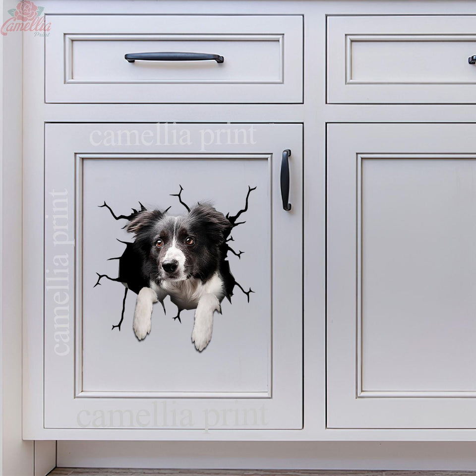 Border Collie Crack Head Decal Funny Custom Logo Stickers 10th Anniversary Gift