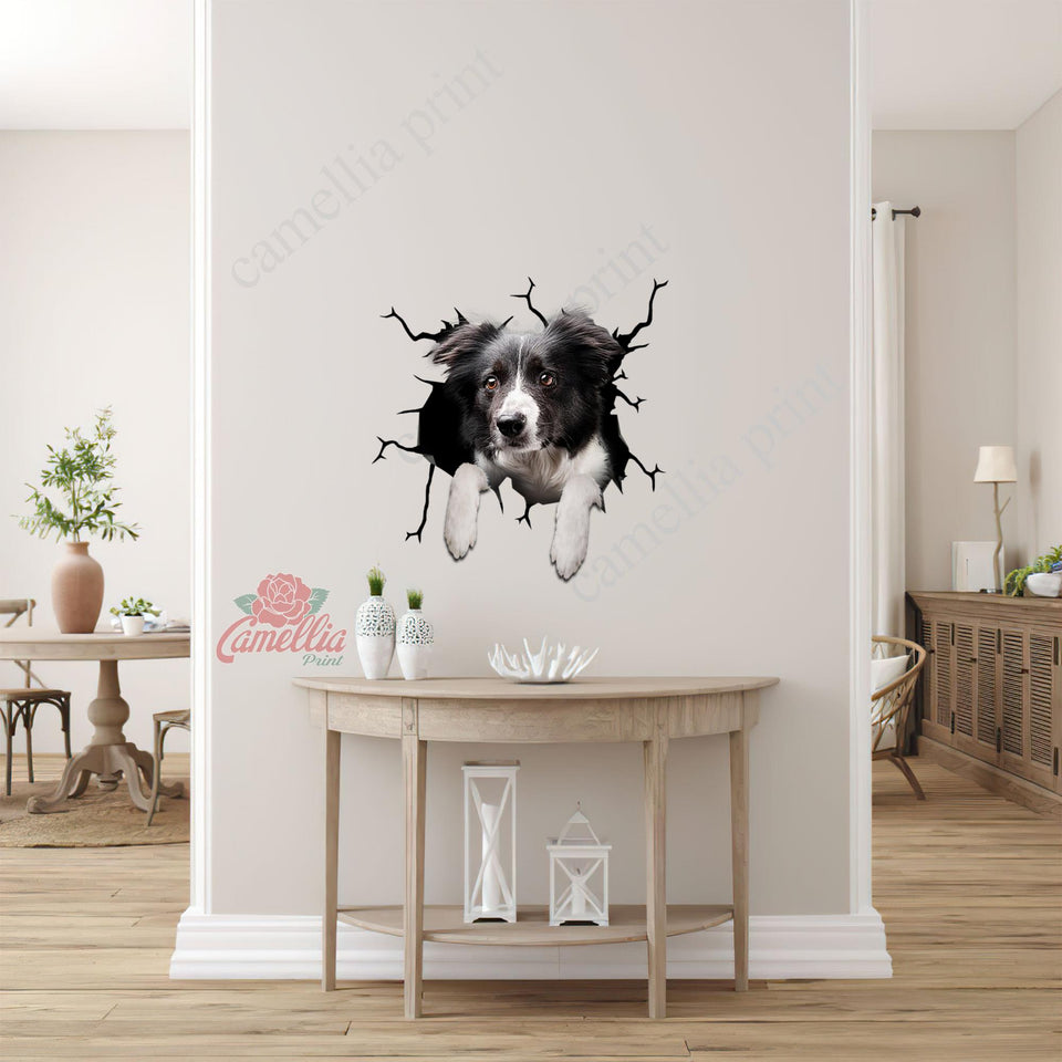 Border Collie Crack Head Decal Funny Custom Logo Stickers 10th Anniversary Gift