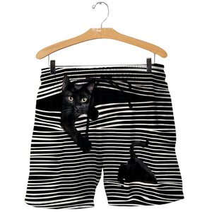 3D All Over Printed Cat Shirts And Shorts DT15052020
