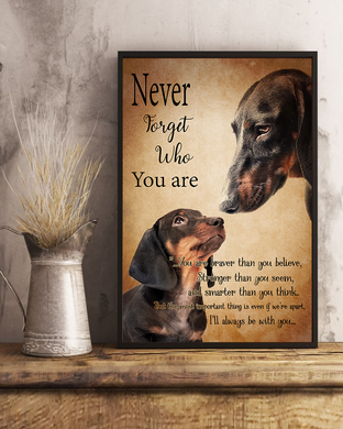Dachshund Poster