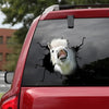 [sk1274-snf-tnt]-pony-horse-crack-sticker-cattle-lover