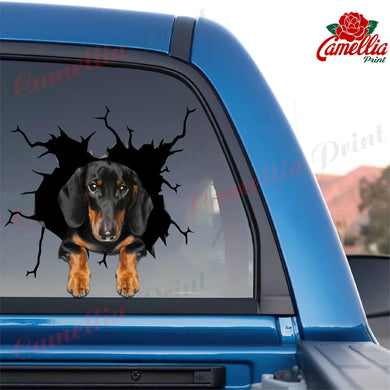 Funny Dachshund Stickers Lovable Bee Stickers Christmas Gift Ideas 2020